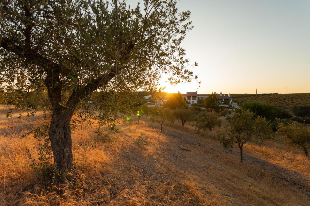 Monte Da Estrela - Country House & Spa Moura Εξωτερικό φωτογραφία