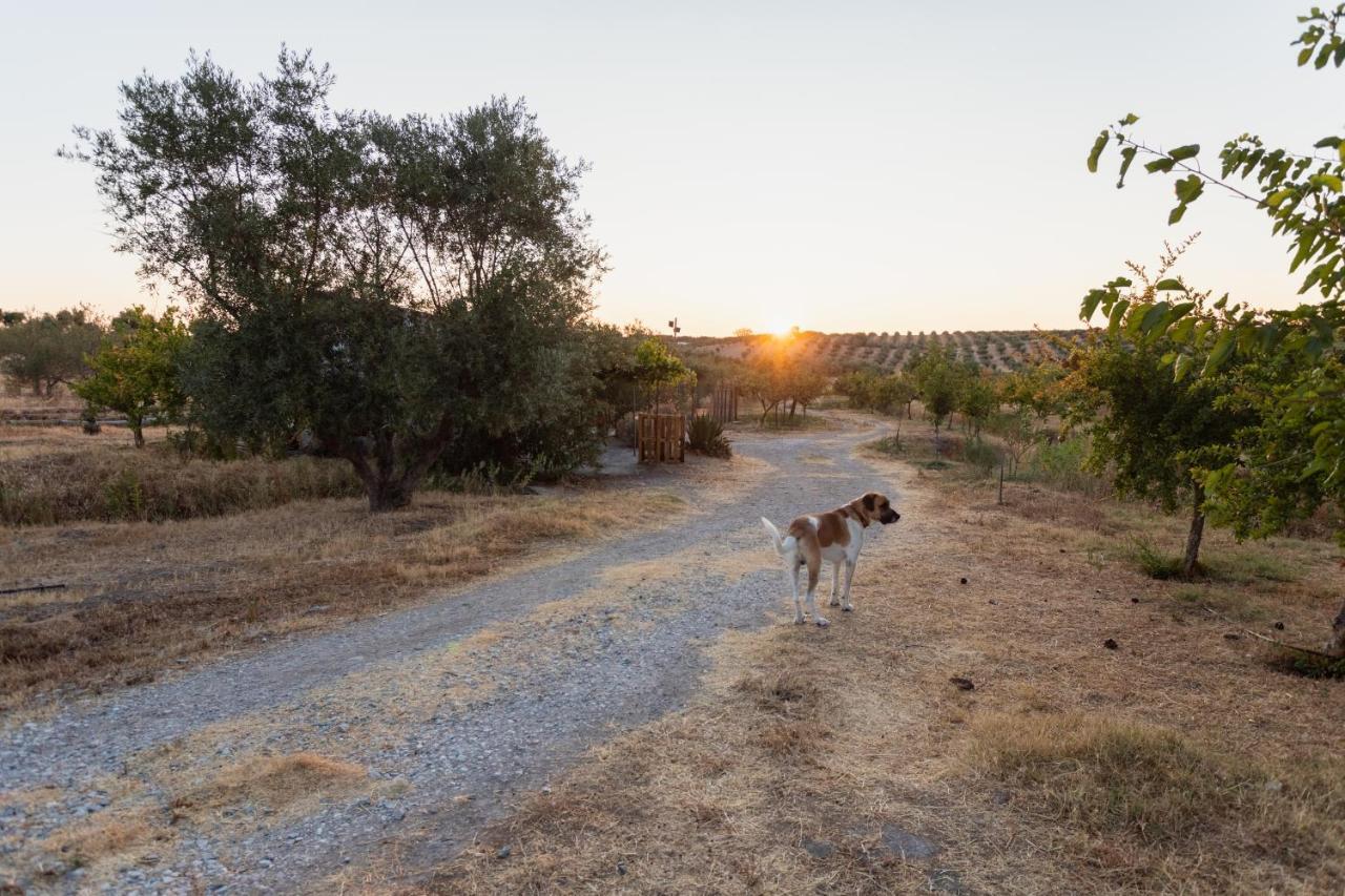 Monte Da Estrela - Country House & Spa Moura Εξωτερικό φωτογραφία