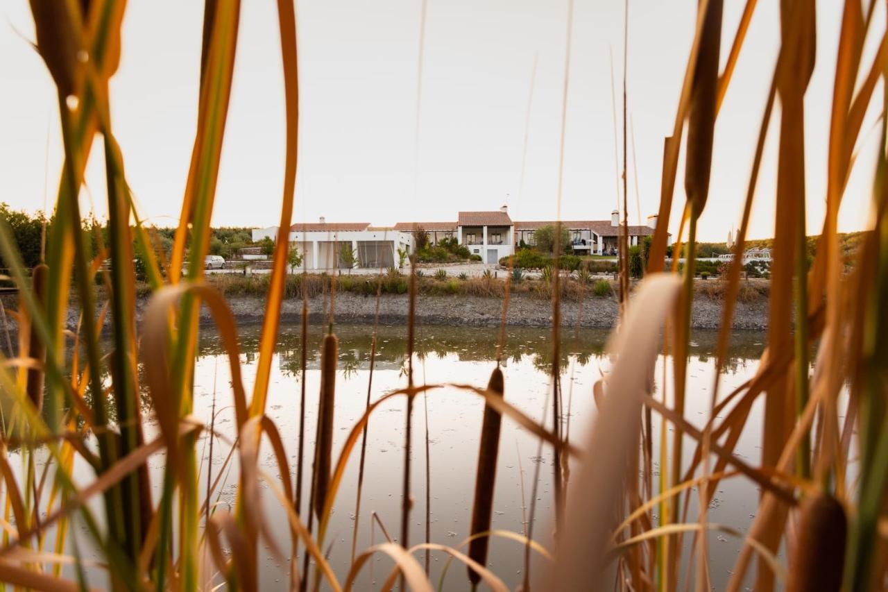 Monte Da Estrela - Country House & Spa Moura Εξωτερικό φωτογραφία