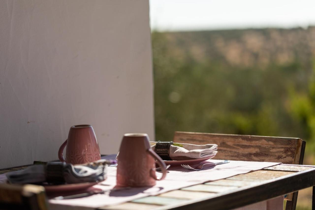 Monte Da Estrela - Country House & Spa Moura Εξωτερικό φωτογραφία